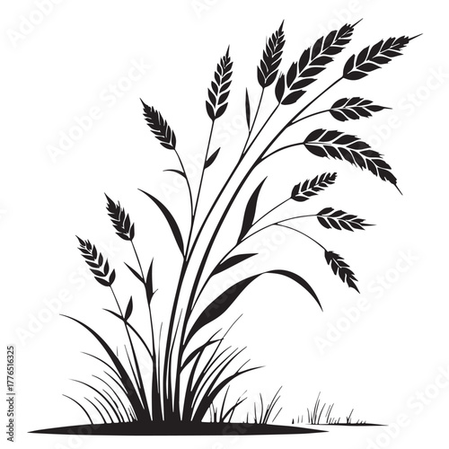 Black color grass Silhouette Vector, High Quality Illustration on White Background