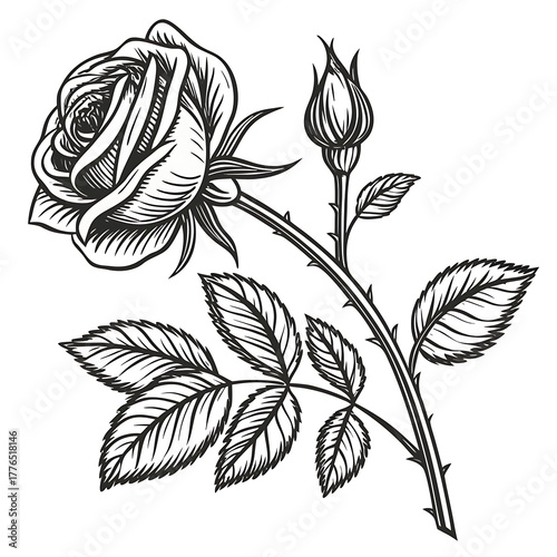 black and white flowers