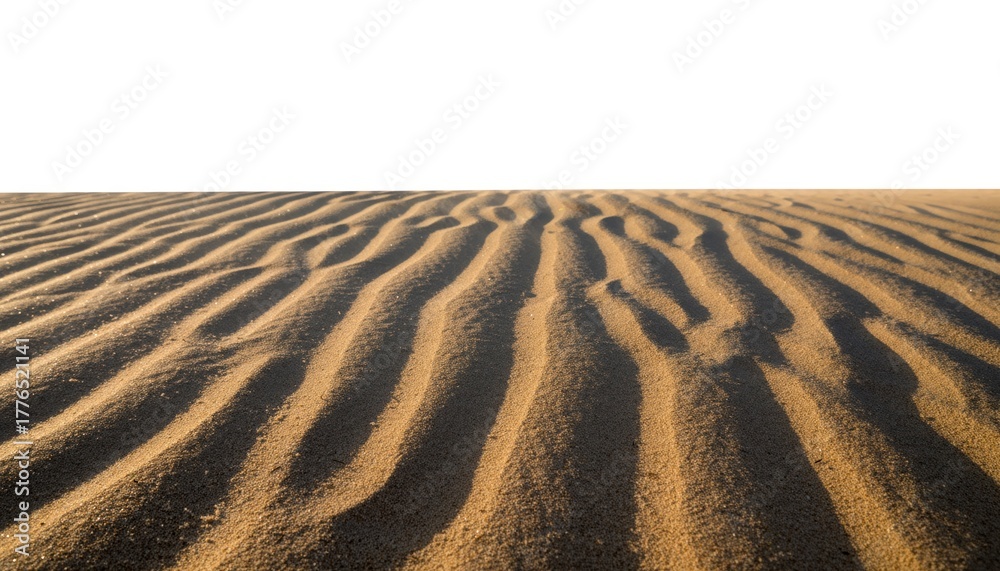 Naklejka premium Sandy beach white sky serene coastal scene featuring sandy shoreline beneath vast white sky in background