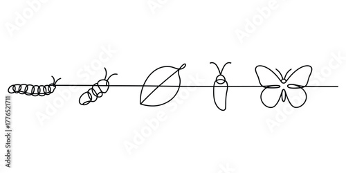 Continuous line drawing of Life cycle of a butterfly, caterpillar to butterfly