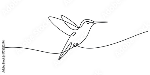 Continuous line drawing of a hummingbird in flight