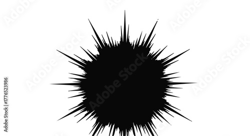 Dynamic black starburst explosion on a white background, representing energy and impact.