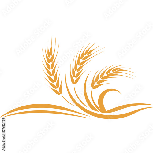 agriculture wheat organic harvest illustration