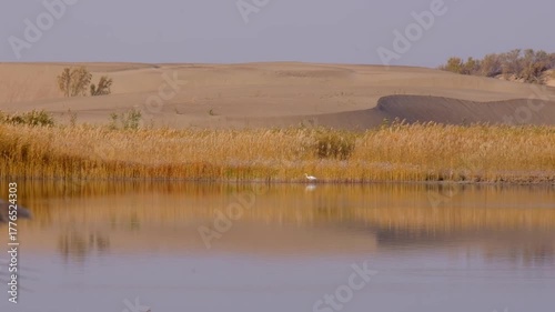Lake Derevyannoye, located in the Uyghur district of Kazakhstan Almaty region, in autumn. Surrounded by sand dunes and home to white herons.