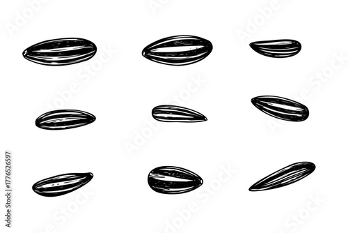 Black sunflower seeds with white veins set in various forms monochrome vector illustration painted by black inks. Raw seeds in shell realistic graphic sketch. For bird feeder labels, product designs.