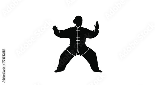 Silhouette of a person practicing martial arts in a traditional uniform