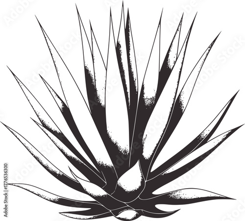 Black and white illustration of a spiky plant vector