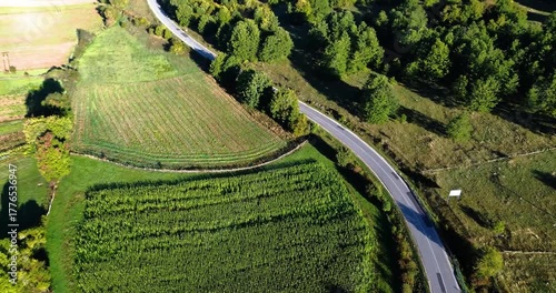 Aerial view of country road winding through green fields and forest