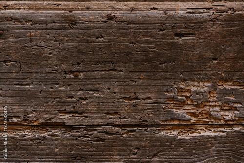 Close-up macro texture of weathered, cracked wooden surface with rich natural lines and organic patterns. A detailed view of aged wood full of character and earthy tones.	