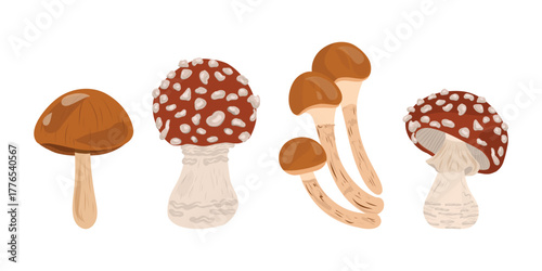 Mushrooms collection, forest mushrooms set. Hand drawn food. Vector illustrations collection.