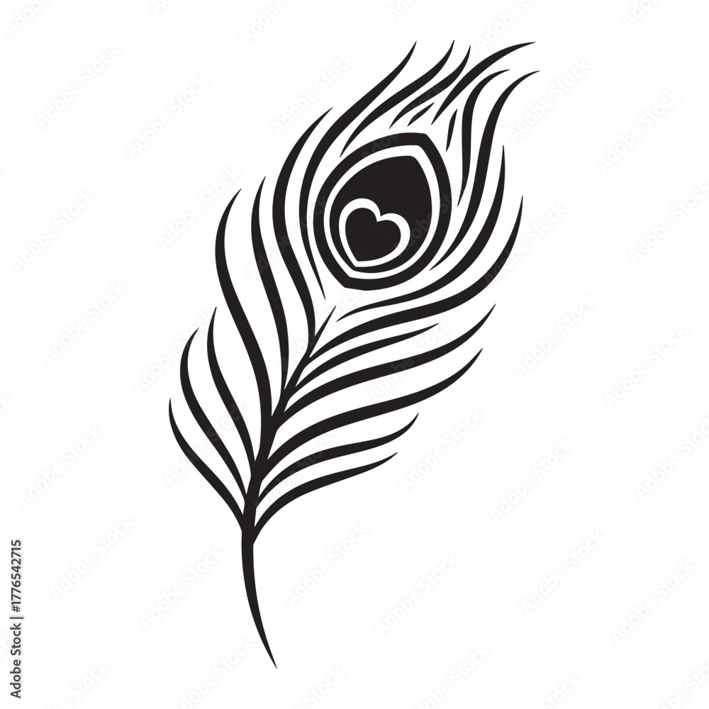 Obraz premium peacock feather vector