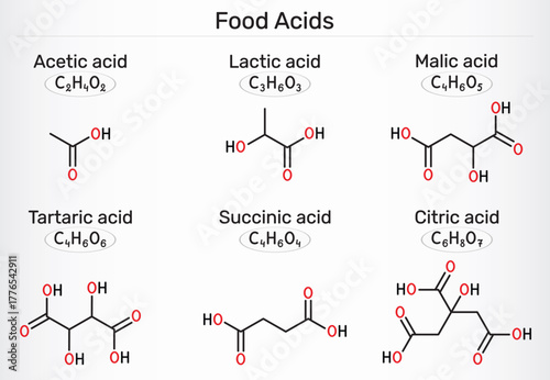 Food acids molecules. Acetic acid (E260), lactic acid (E270), citric acid (E330), malic acid (E296), succinic acid (E363), tartaric acid (E334). Vector illustration