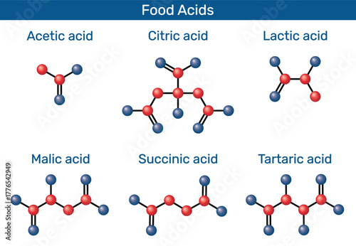 Food acids 3D model molecules. Acetic acid (E260), lactic acid (E270), citric acid (E330), malic acid (E296), succinic acid (E363), tartaric acid (E334). Vector illustration