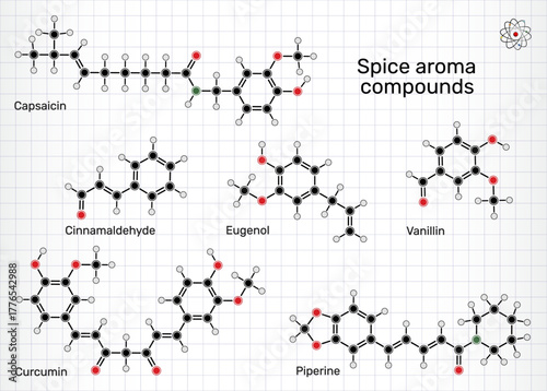 Spice aroma compounds molecule. Chemical structures of vanillin, cinnamaldehyde, eugenol, curcumin, piperine and capsaicin. Sheet of paper in a cage. Vector Illustration