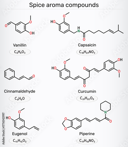 Spice aroma compounds molecule. Chemical structures of vanillin, cinnamaldehyde, eugenol, curcumin, piperine and capsaicin. Vector illustration