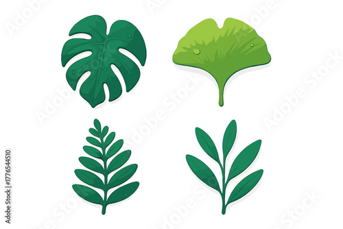 Stylized collection of four distinct green botanical leaves including Monstera and Ginkgo