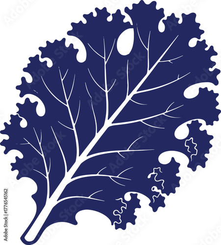Deep blue kale leaf vector illustration with intricate white veins and details on white backdrop