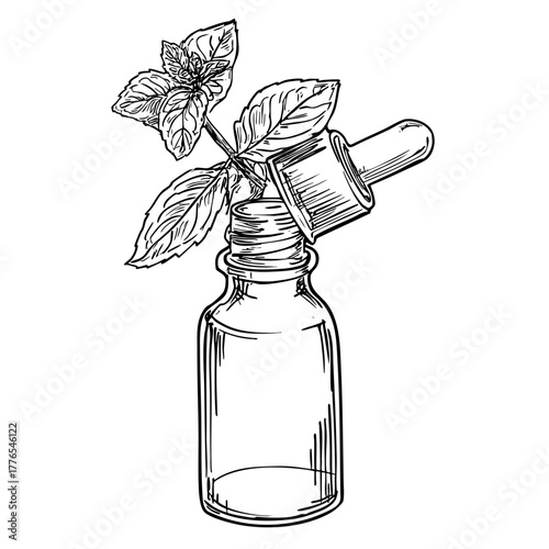 Mint essential oil bottle with dropper and fresh leaves herb sketch on white background aromatherapy natural cosmetic.
