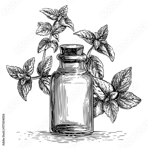 Mint leaves and essential oil bottle with cork on white background aromatherapy natural organic cosmetic hand drawn.