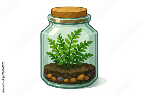 Small green fern plant growing inside a glass jar terrarium sealed with a cork stopper
