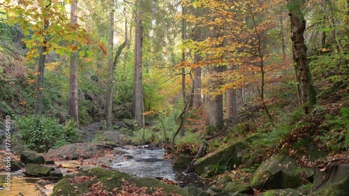 Cascading water running through a rocky ravine during autumn at Wyming Brook Nature Reserve in the Derbyshire, Peak District National Park.