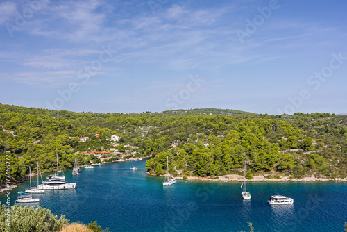 Fototapeta Naklejka Na Ścianę i Meble -  Scenic Coastal Bay With Pine Forest, Small Houses, And Sailboats On Calm Blue Water, Necujam Solta