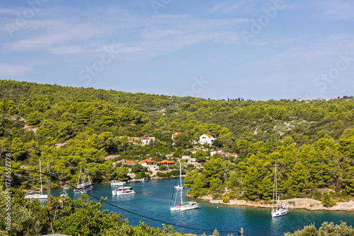 Fototapeta Naklejka Na Ścianę i Meble -  Scenic Coastal Bay With Pine Forest, Small Houses, And Sailboats On Calm Blue Water, Necujam Solta