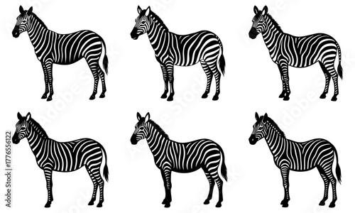 Striking zebra herd illustration showcasing wildlife diversity, perfect for educational materials or animal-themed designs, bold stripes and natural beauty
