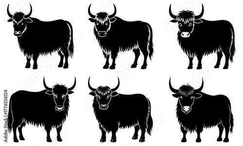 Majestic yaks in silhouette, a diverse set of powerful bovine creatures, perfect for wildlife illustrations or nature themed designs, originally a vector