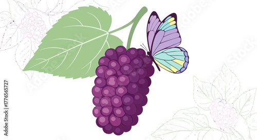 A Beautiful Butterfly Resting On A Cluster Of Berries With A Large Green Leaf Perfectly