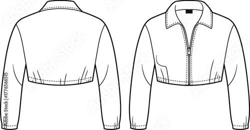 Elegant fountain pen and feather quill vector illustration set, vintage writing tools, calligraphy ink pen symbols, education art and literature concept