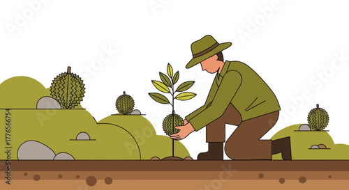 A Farmer Planting A Durian Tree Representing The Fruit Cultivation And Agriculture