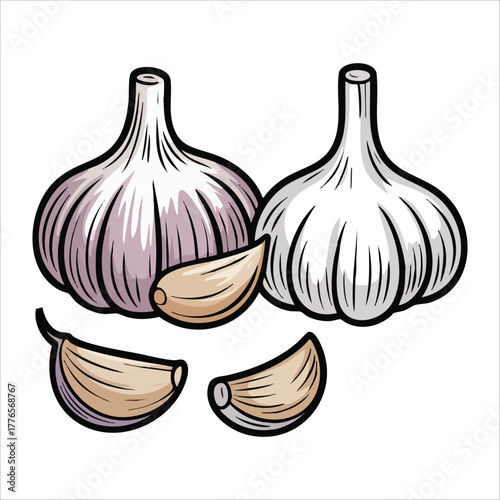 sketch style garlic set with whole and peeled cloves vector art isolated on white background
