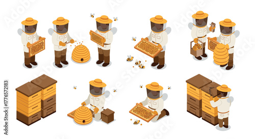 Isometric beekeeper activities honey harvesting and beekeeping process with hives