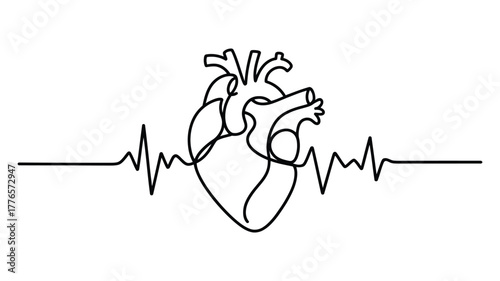 continuous line drawing of human heart with integrated ecg waveform – minimalist medical illustration for cardiovascular health themes
