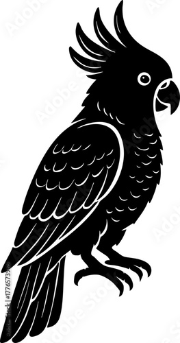 Silhouette of a cockatoo head with crest details in flat black vector design.