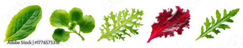 Fresh mixed salad leaves assortment isolated on transparent background