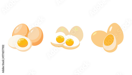Delicious hard boiled eggs and whole eggs vector illustration
