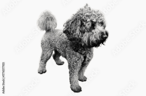 Dog collage, happy pet in halftone. Little puppy sticker cut out of paper. Portrait of a funny animal. Scrapbook of a standing curly dog. Friendly cute puppy. Contemporary art collage, vector.