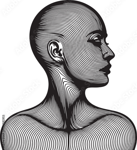 Engraved Human Head Profile in Black and White Keywords: head, profile, human, face, sculpture