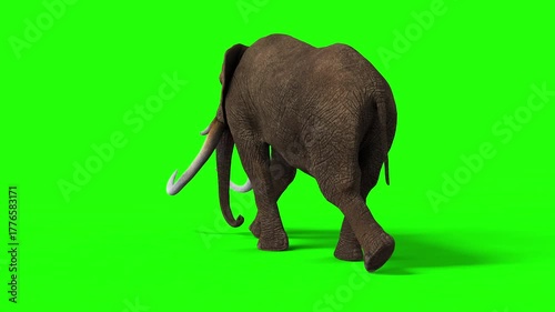 3d Illustration of The Majestic Wild Elephant in Motion