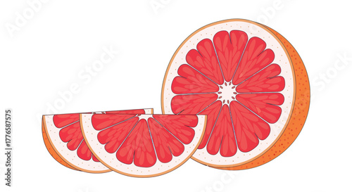 Vibrant Grapefruit Slices and Half Fruit Illustration.
