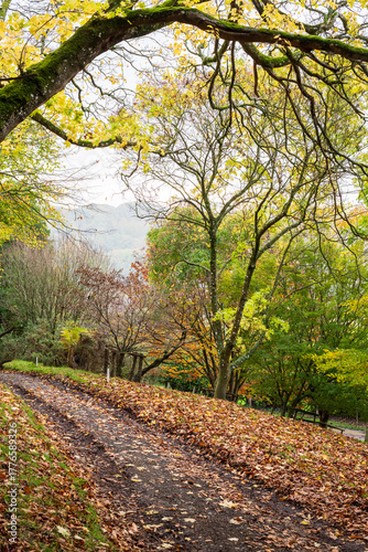path in autumn park