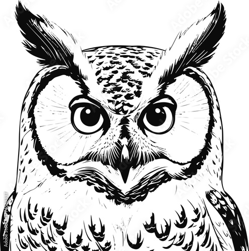  Bold line drawing of an owl face with wide eyes 1