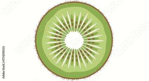 Slice of Fresh Green Kiwi Fruit with Seeds.