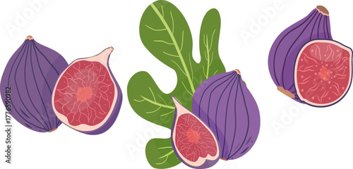 Colourful vector illustration featuring whole and halved ripe figs with fig leaves. Juicy purple figs with detailed. Flat style. Ideal for food packaging, recipe books, kitchen decor.