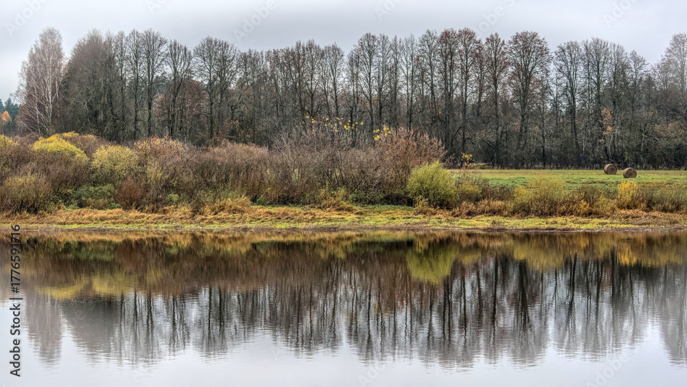 Φωτογραφία A perfect, mirror-like reflection of a dense autumn forest in the calm water of