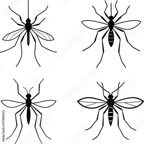 Mosquito silhouette line art vector illustration