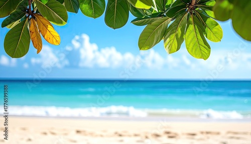 Bright Sunny Day At The Beach With Blue Sky White Clouds Turquoise Ocean Waves And Sandy Shore With Green Leaves In Foreground