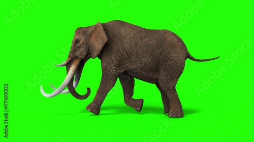 3d Illustration of The Majestic Wild Elephant in Motion
